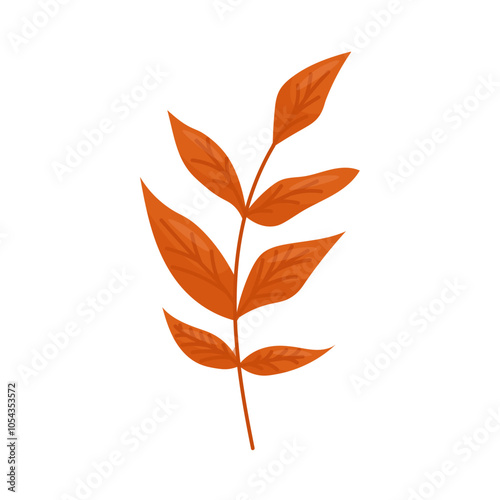 Orange autumn leaf on a white background. Vector illustration