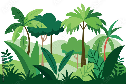 Experience the Beauty of Dense Tropical Rainforests
