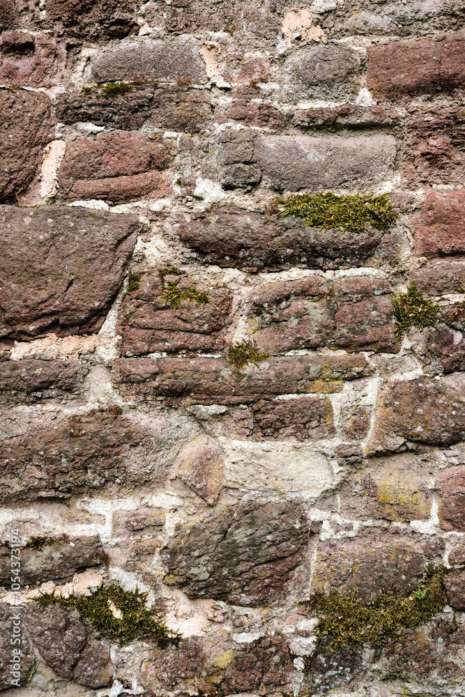 A wall made of stone with a rough texture. The wall is brown and white