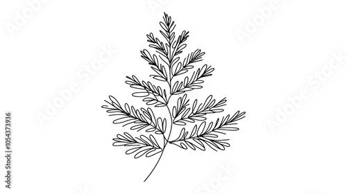 One continuous line illustration of a pine tree branch, isolated on white background.