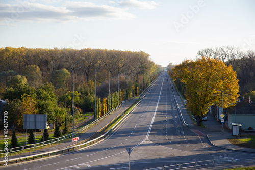 a road going into the distance among autumn trees in Chernigov photo