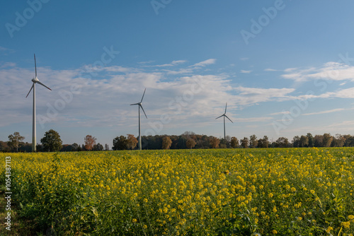 Herbstliche Landschaft in Westfalen photo