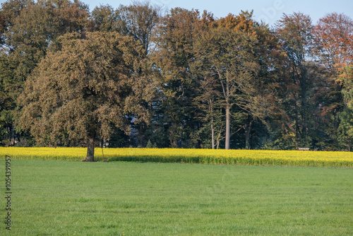 Herbstzeit im Münsterland photo