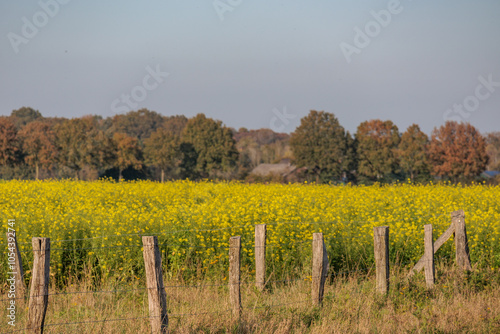 Herbstzeit im Münsterland photo