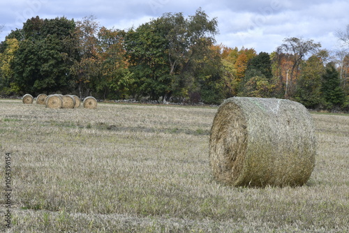 Landscape with hay roll