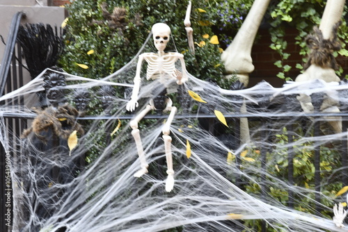 Halloween Decor Skeletons