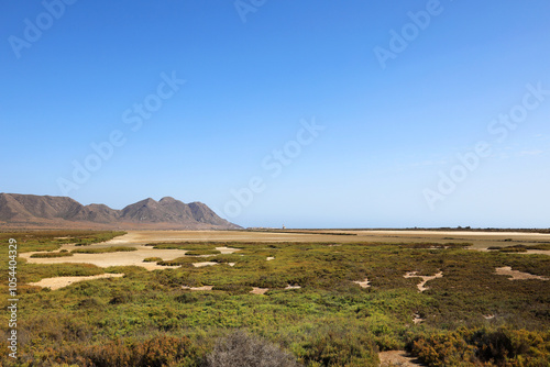 humedal de las salinas cabo de gata almería seco sin agua sequía 4M0A2221-as24.