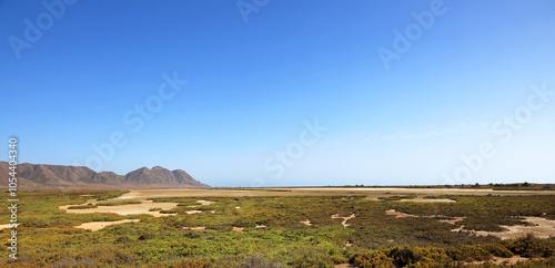 humedal de las salinas cabo de gata almería seco sin agua sequía 4M0A2232-as24.