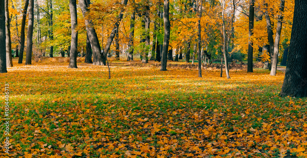 Beautiful autumn landscape in warm yellow and orange colors Beautiful autumn landscape in warm yellow and orange colors