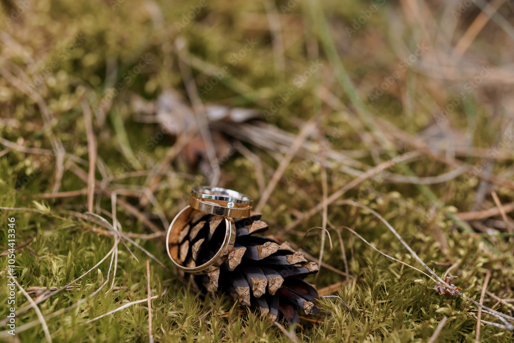 Elegant Wedding Rings Resting on a Pine Cone Surrounded by Nature Elegant Wedding Rings Resting on a Pine Cone Surrounded by Nature