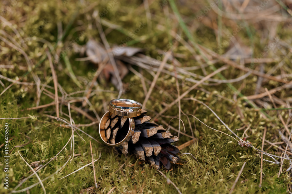 Elegant Wedding Rings Resting on a Pine Cone in Nature