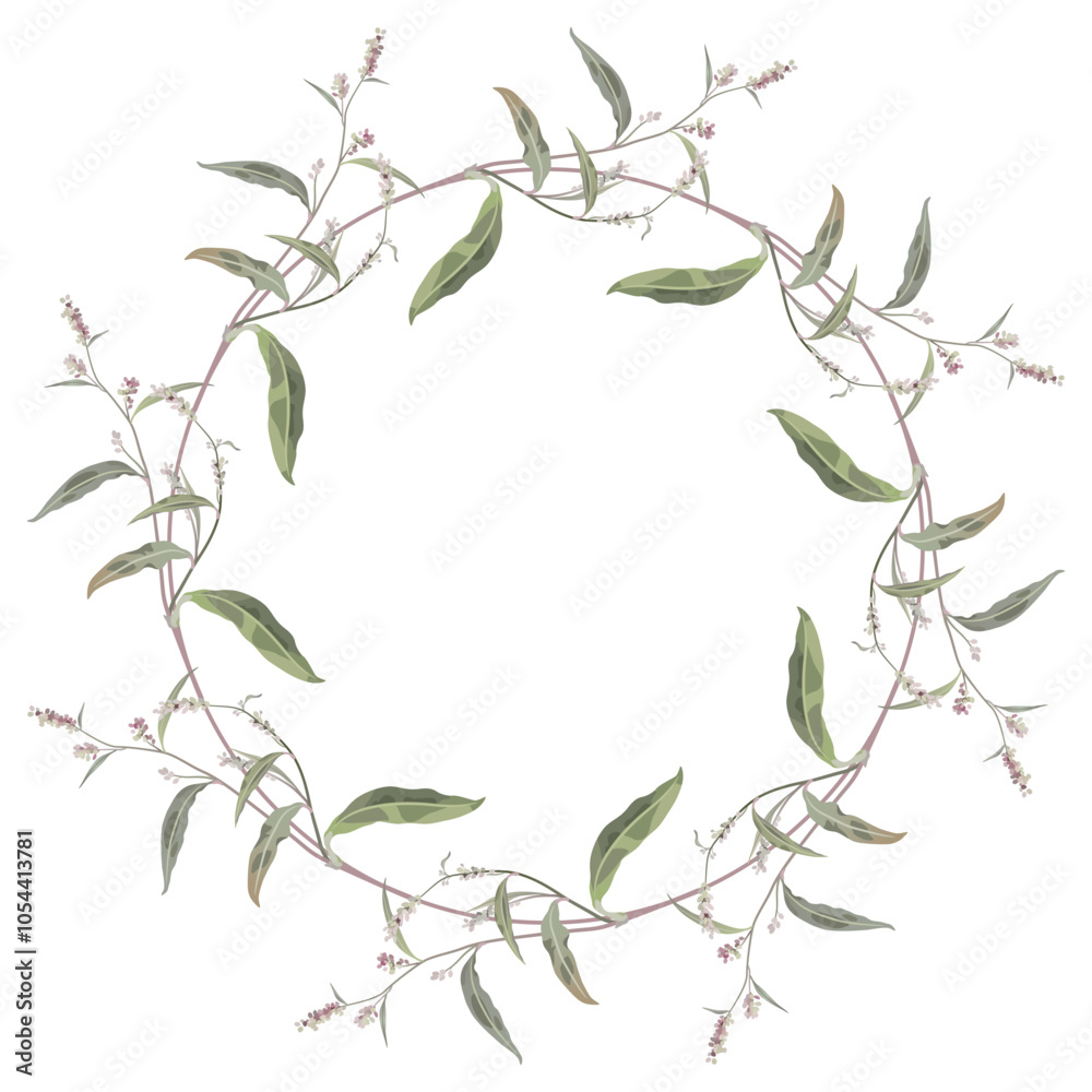 Round floral frame with blooming branches of Polygonum plant. Botanical border. Wreath of Knotweed or Smartweed flowers. 