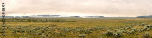 Fields Spread Out Across Hayden Valley with Pink Morning Light photo