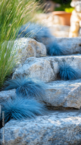 Blue oat grass clumps dotting rock gardens near steps photo