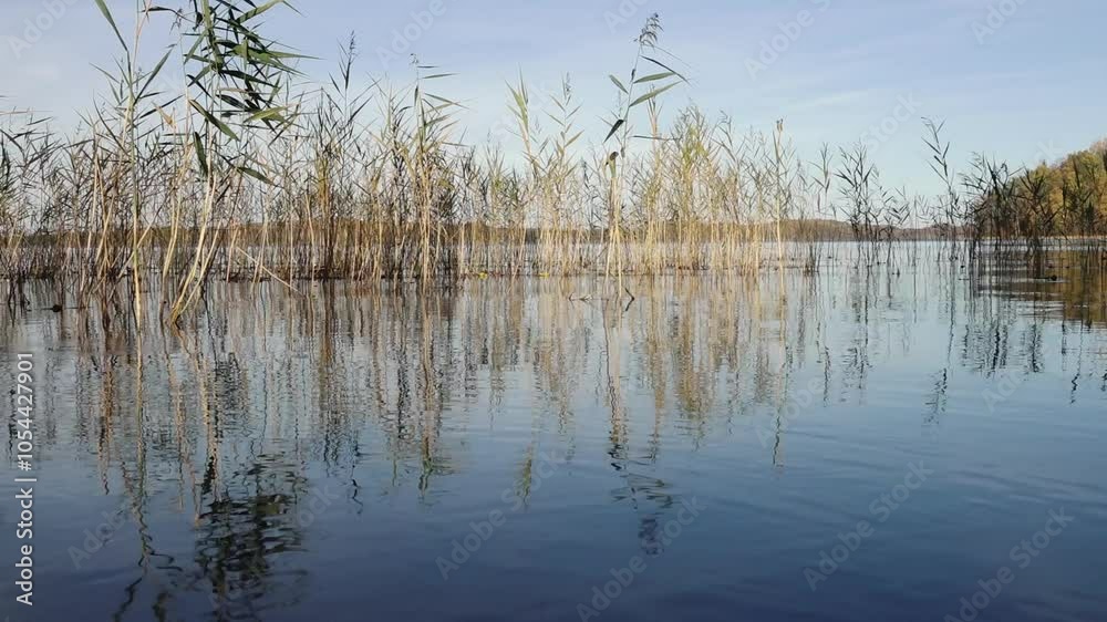 Tranquil blue lake with rippling water, bordered by a shoreline dotted with colorful autumn leaves. Leaves gently fall onto the shore, creating a seasonal, serene atmosphere. Tranquil blue lake with rippling water, bordered by a shoreline dotted with colorful autumn leaves. Leaves gently fall onto the shore, creating a seasonal, serene atmosphere.