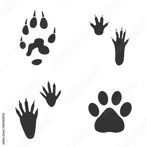 Footprints of  Animal, Traces of a hamster, cat, ferret, raccoon on white background.  Silhouette animal tracks in gray. Paw Print for your  design. Vector illustration. EPS10.