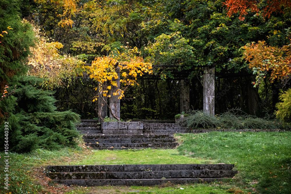 Autumn scenery in arboretum Tesarske Mlynany, Slovakia Autumn scenery in arboretum Tesarske Mlynany, Slovakia