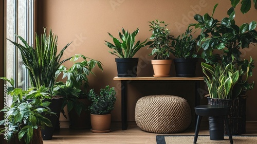 Warm living room with plants in pots, wooden stand, black stool, brown wall, and personal accessories