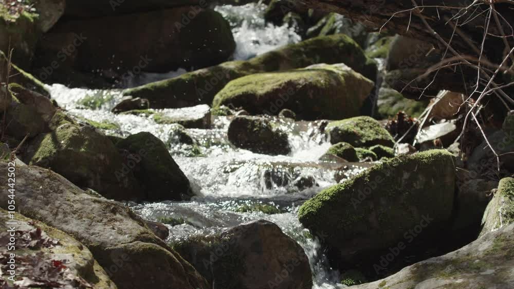 Telephoto shot of a cascading stream in a hardwood forest in winter in the Tennessee River Gorge near Chattanooga Telephoto shot of a cascading stream in a hardwood forest in winter in the Tennessee River Gorge near Chattanooga