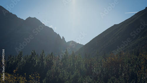 beautiful big mountains incredible nature and mysterious forest