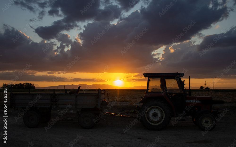 Fototapeta premium magnificent sunset and tractor view in agricultural field