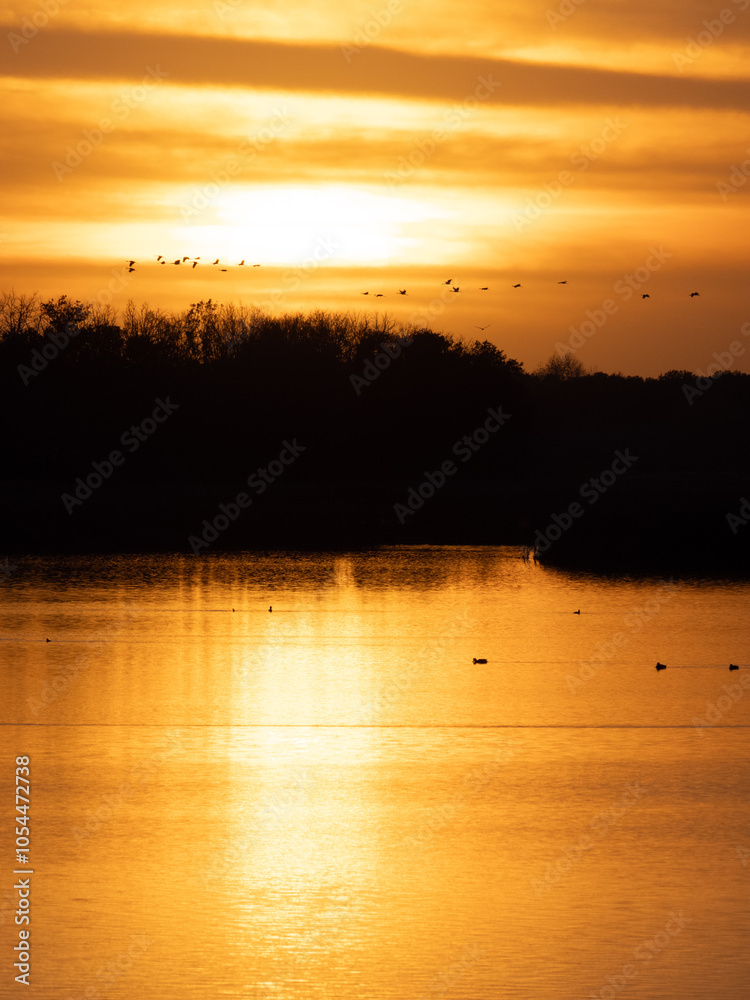 bright orange sunset reflecting on a lake as sandhill cranes fly over trees bright orange sunset reflecting on a lake as sandhill cranes fly over trees