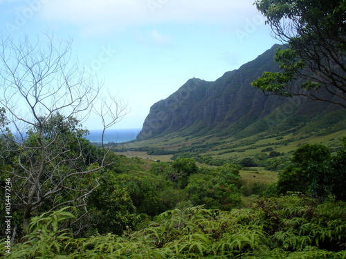 hawaii landscape