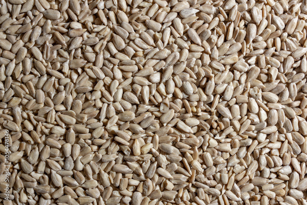 Peeled Sunflower Seeds Background: A Culinary Canvas of Shell-free Sunflower Seeds, Creating a Lively and Textured Background for Gourmet Cooking - Top View, Flat Lay Peeled Sunflower Seeds Background: A Culinary Canvas of Shell-free Sunflower Seeds, Creating a Lively and Textured Background for Gourmet Cooking - Top View, Flat Lay