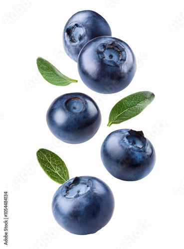 Falling blueberry berries on transparent photo