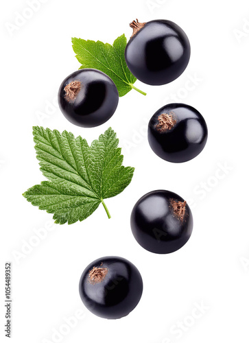 Falling currant berries on transparent