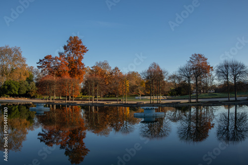 Peaceful scenery of Autumn trees reflected on the water. Autumn in Battersea Park/ London. Colorful autumn trees by the water. Fall concept
