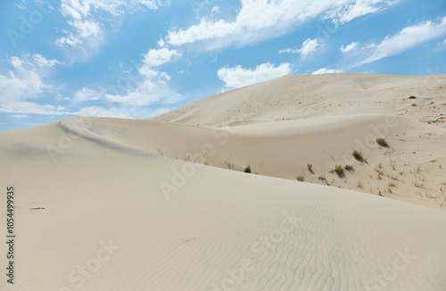 The towering Kelso Dunes at California's Mojave National Preserve photo