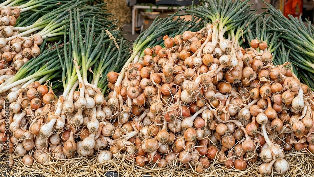 Fototapeta premium Freshly harvested golden brown onions on straw bed at outdoor market