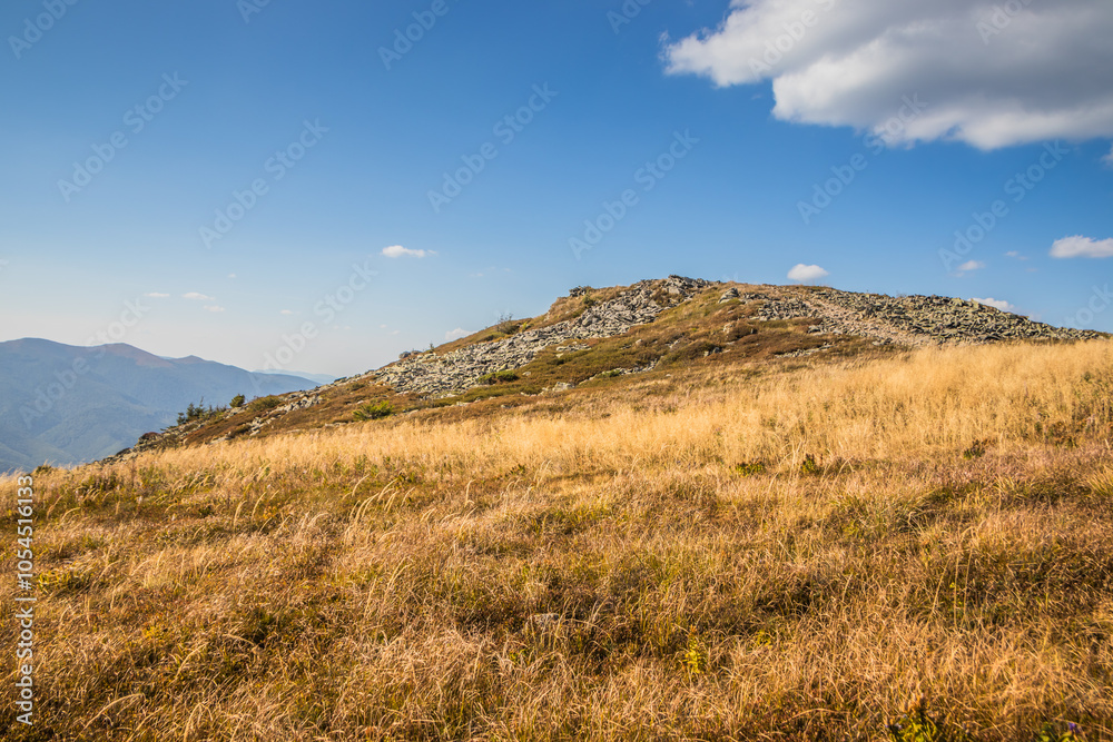 A Breathtaking Stunning Mountain View Across the Vibrant Grassland on a Beautiful Clear Day A Breathtaking Stunning Mountain View Across the Vibrant Grassland on a Beautiful Clear Day