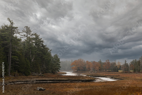Colorful meadow with a river in Autumn with leaves changing colors to red yellow and orange on a cold foggy cloudy stormy day in Maine