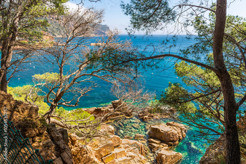 Cala de Aiguablava, Begur, Catalonia, Spain photo