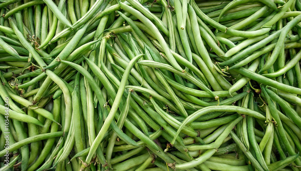 Buncis or Green Beans Vegetables, Creative background design with food theme, focus on the pile of fresh Buncis or Green Beans Buncis or Green Beans Vegetables, Creative background design with food theme, focus on the pile of fresh Buncis or Green Beans
