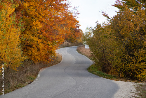 beautiful autumn landscape with orange and yellow trees