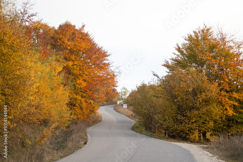 beautiful autumn landscape with orange and yellow trees