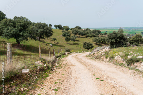 camino de tierra castilla zahorra