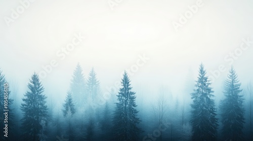 Misty pine forest at dawn enveloped in a calming blue fog