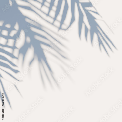 Gobo shadows of Palm tree leaves on a plain background, 4k UHD square 1:1. Realistic tropical leaves shadows for overlay, multiply effects. Cool tinted shadow, warm light. 