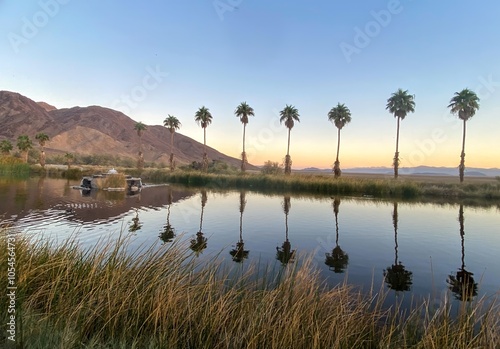 Zzyzx Road desert research station oasis and palm lined pond near Baker, CA on the way to Las Vegas on I15