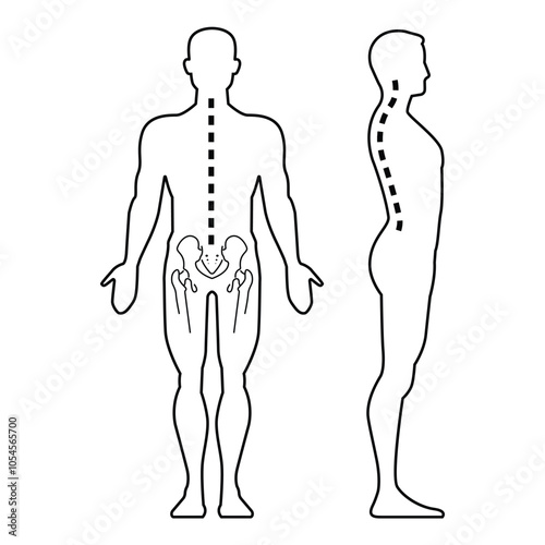 Human frontal and lateral silhouette with spine and pelvis