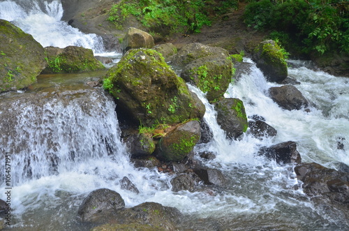 waterfall in the forest