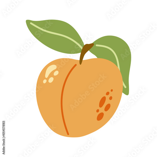 Summer juicy orange apricot with leaf. Hand drawn cartoon fruit illustration.