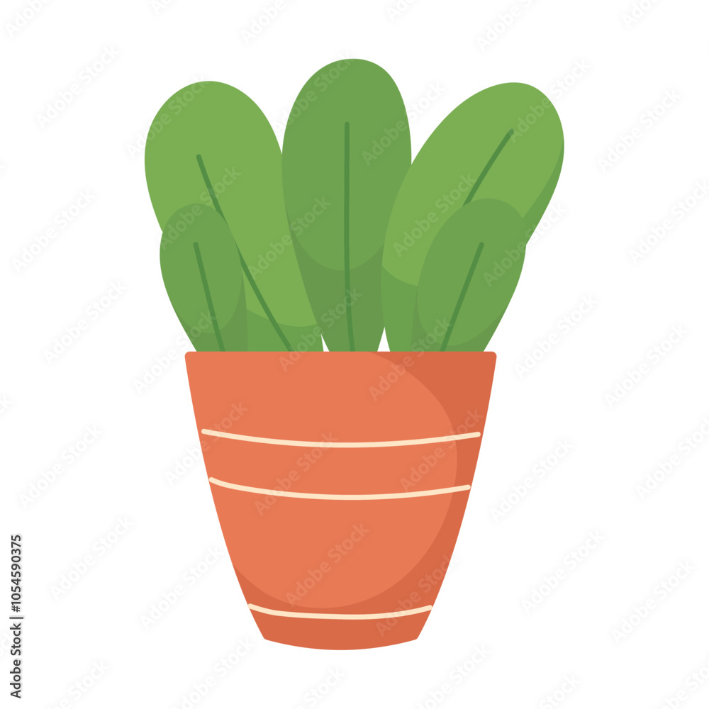 houseplant nature decoration houseplant nature decoration