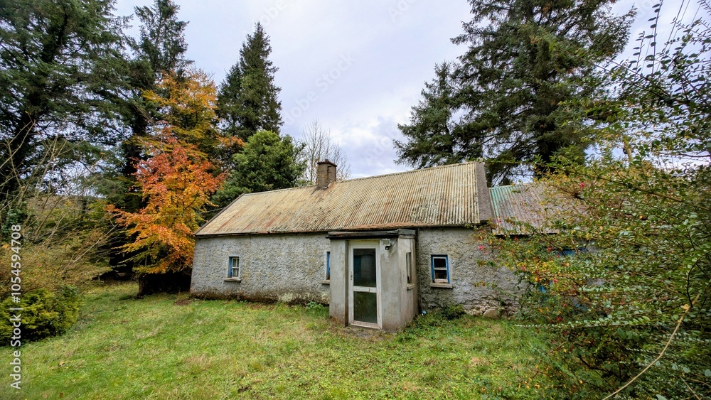 Old aged house in the forest, buildings and architecture at Kinnity, Offaly, Ireland