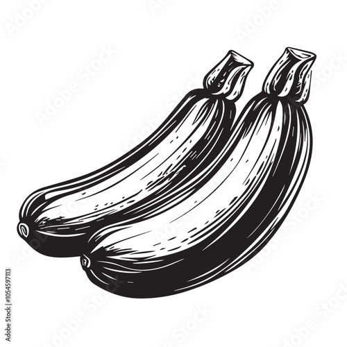 Zucchini in cartoon, doodle style . Image for t-shirt, web, mobile apps and ui. Isolated 2d vector illustration in logo, icon, sketch style, Eps 10, black and white. AI Generative