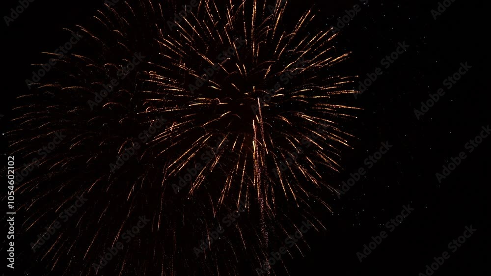 Celebrating the New Year with Dazzling Fireworks Celebrating the New Year with Dazzling Fireworks